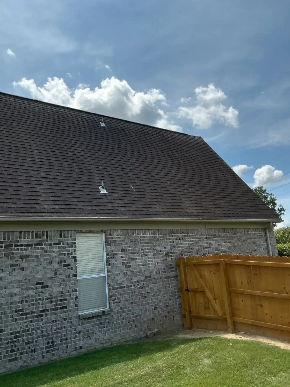 Rear roof plane with new dark shingles and pipe boots above a brick wall and cedar privacy fence